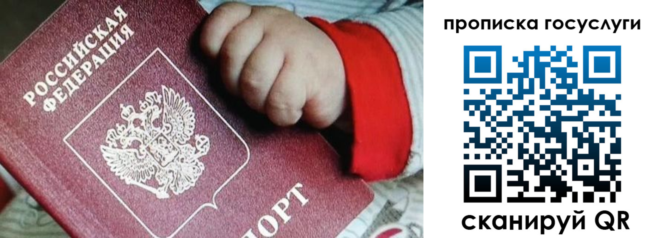 прописка штамп в Зеленоградске